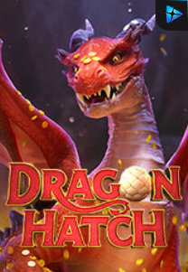 Bocoran RTP Dragon Hatch di TIMUR188