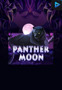 Bocoran RTP Panther Moon di TIMUR188