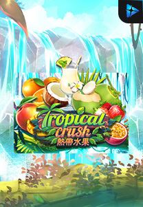 Bocoran RTP Tropical Crush di TIMUR188