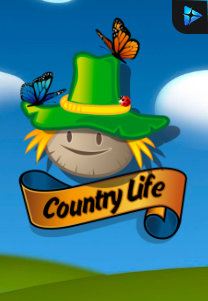 Bocoran RTP Country Life di TIMUR188