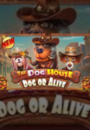 Bocoran RTP The Dog House – Dog or Alive di TIMUR188