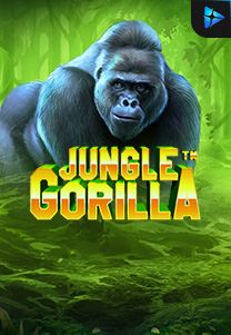 Bocoran RTP Jungle Gorilla di TIMUR188