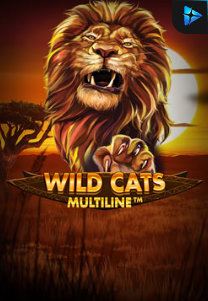 Bocoran RTP Wild Cat Multiline di TIMUR188