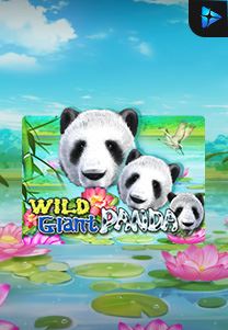 Bocoran RTP Wild Giant Panda di TIMUR188